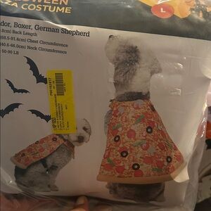 Halloween Dog Costume with Candy Print